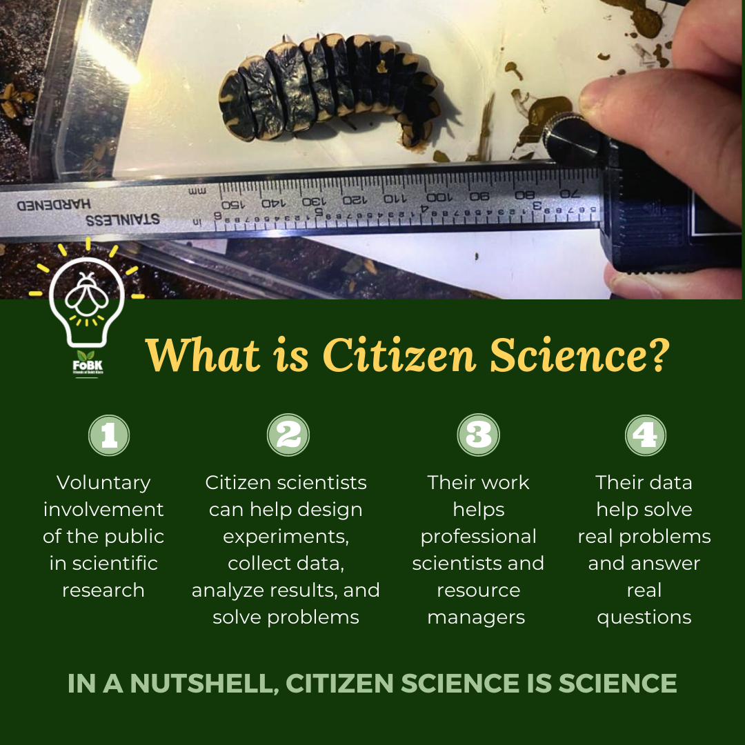 What Is Citizen Science